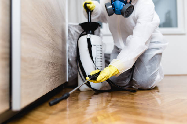 Best Best Pest Control Companies  in Bay Hill, FL