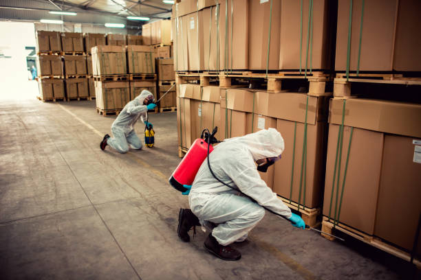 Best Pest Inspection Near Me  in Bay Hill, FL