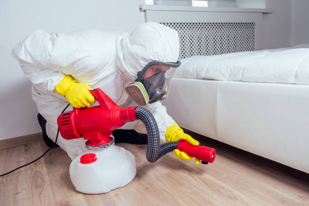 Best Bed Bug Extermination  in Bay Hill, FL