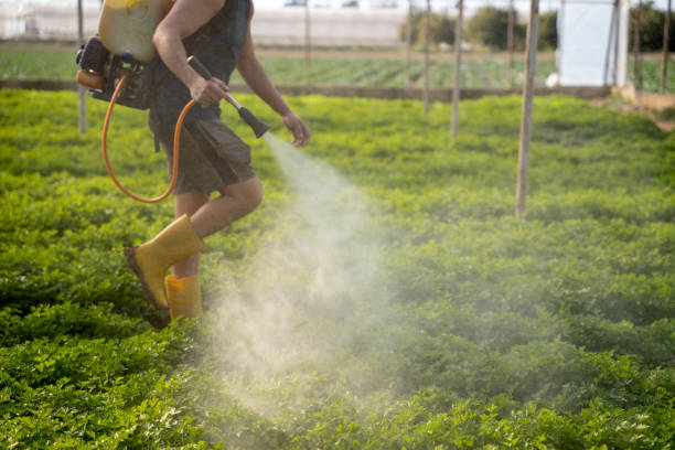 Best Exterminator Services  in Bay Hill, FL