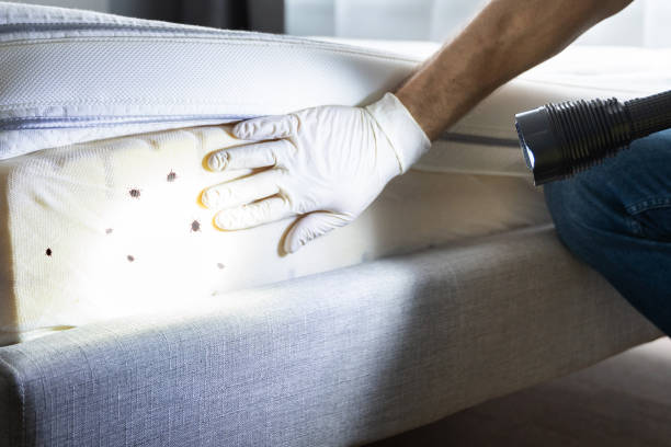 Best Pest Control for Businesses  in Bay Hill, FL