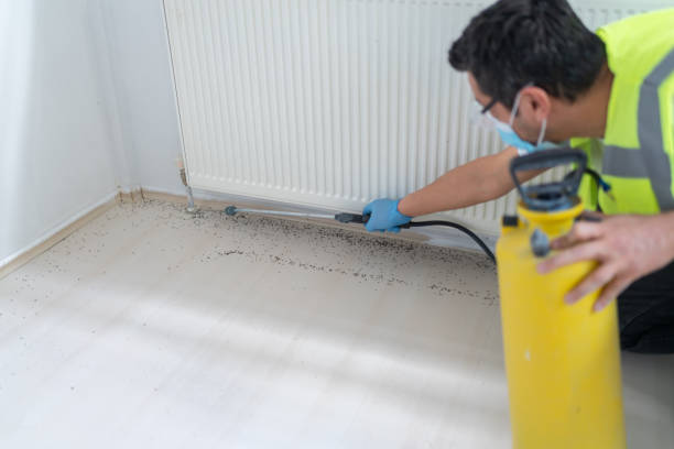Best Best Pest Control Companies  in Bay Hill, FL